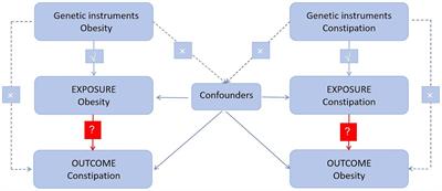 A causal association between obesity and constipation: a two-sample bidirectional Mendelian randomization study and meta-analysis